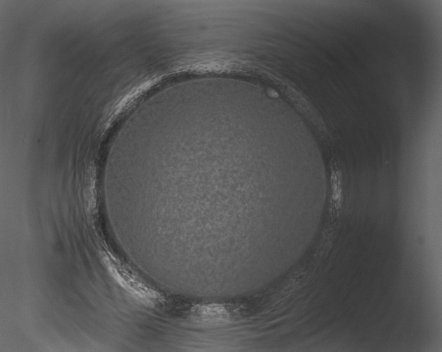 X0000085250588200703161254