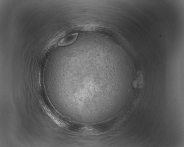 X0000085250589200703161254