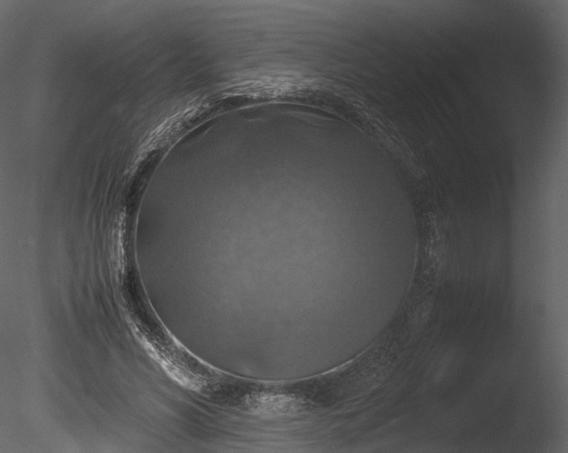 X0000085250590200703161254