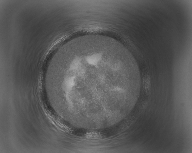 X0000085250591200703161254