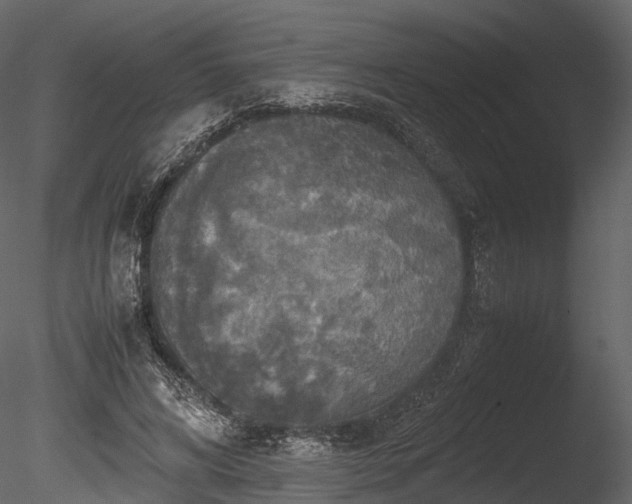 X0000085250592200703161254