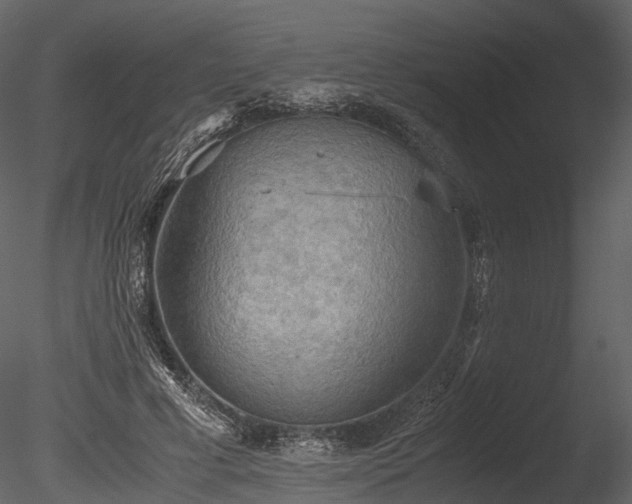 X0000085250593200703161254