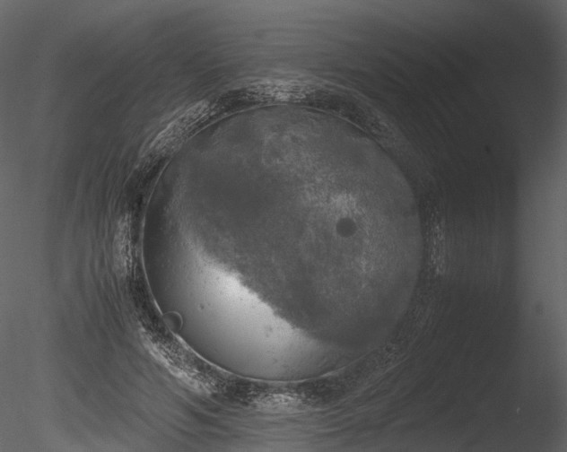 X0000085250594200703161254