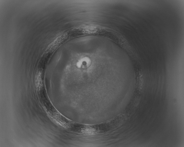 X0000085250598200703161254