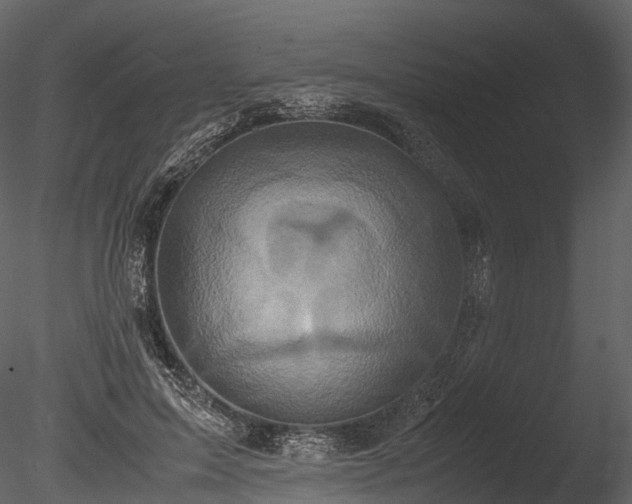 X0000085250599200703161254