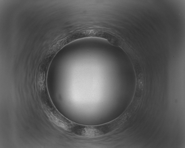 X0000085250605200703161254