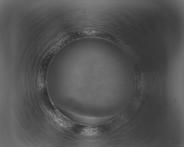 X0000085250606200703161254