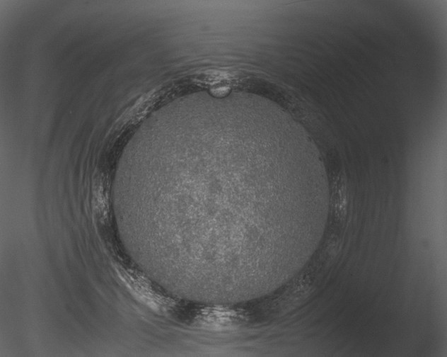 X0000085250607200703161254