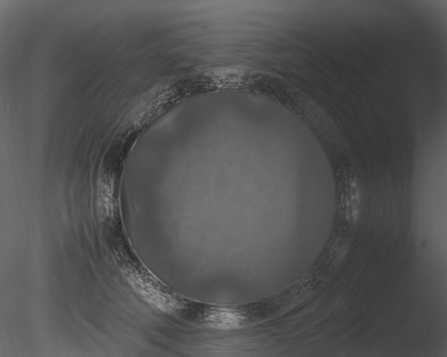 X0000085250610200703161254