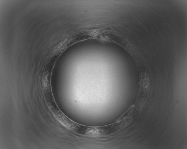 X0000085250611200703161254