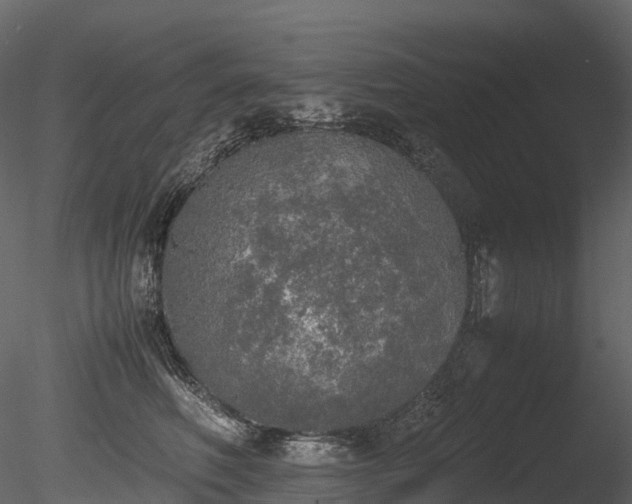 X0000085250614200703161254