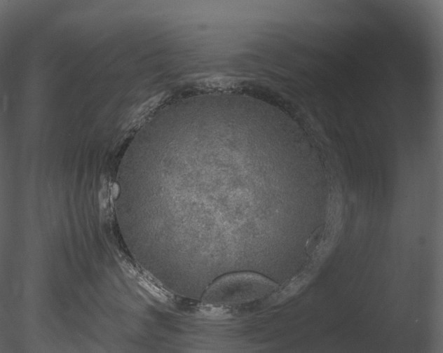 X0000085250624200703161254