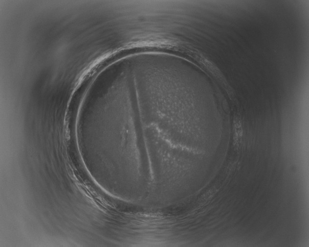 X0000085250628200703161253