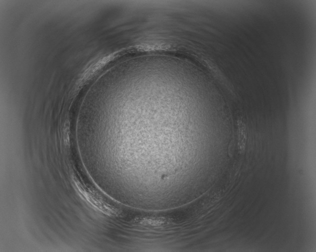 X0000085250631200703161253