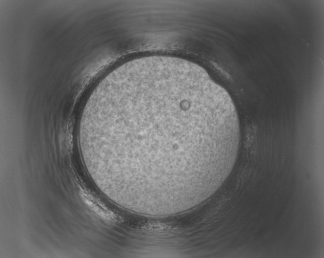 X0000085250632200703161253