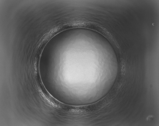 X0000085250633200703161253