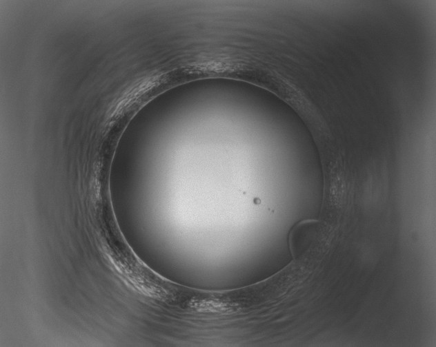 X0000085250635200703161253