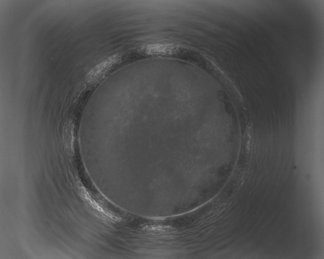 X0000085250637200703161253