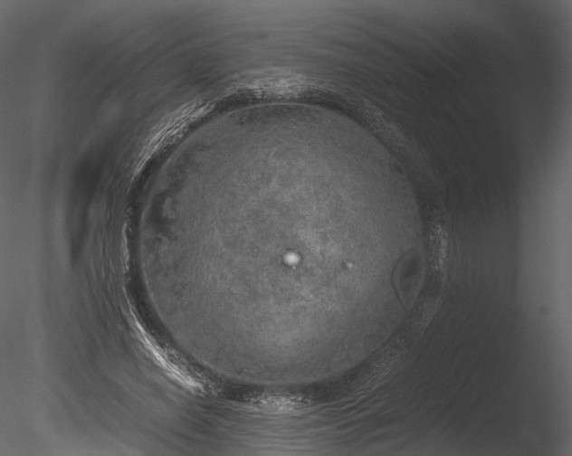 X0000085250638200703161253