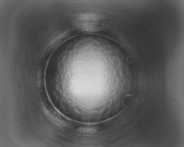 X0000085250639200703161253