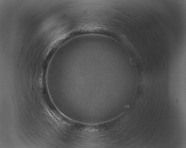 X0000085250640200703161253