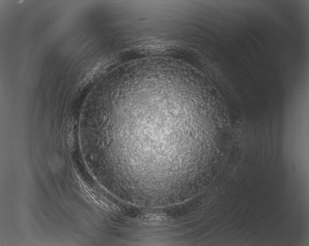 X0000085250642200703161253