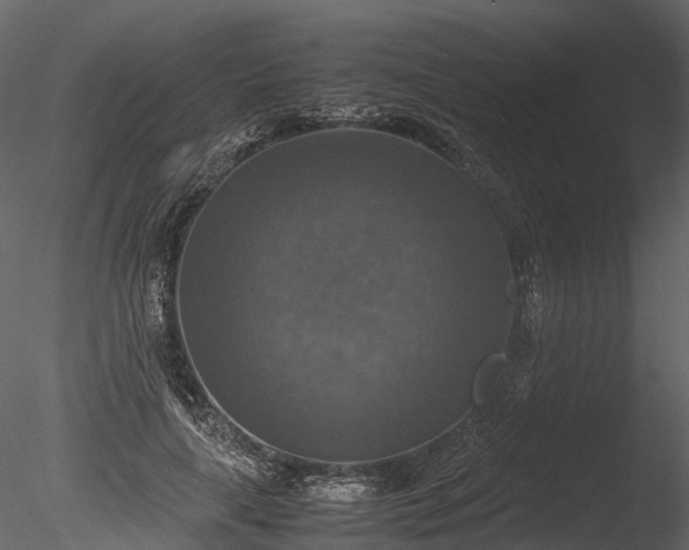 X0000085250643200703161253