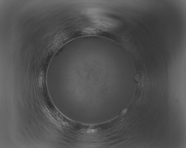 X0000085250647200703161253