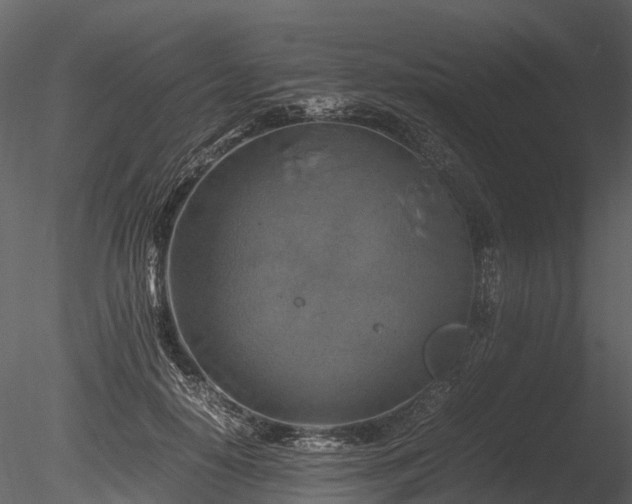 X0000085250650200703161253