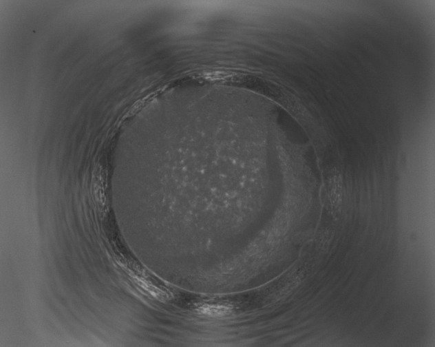 X0000085250653200703161253