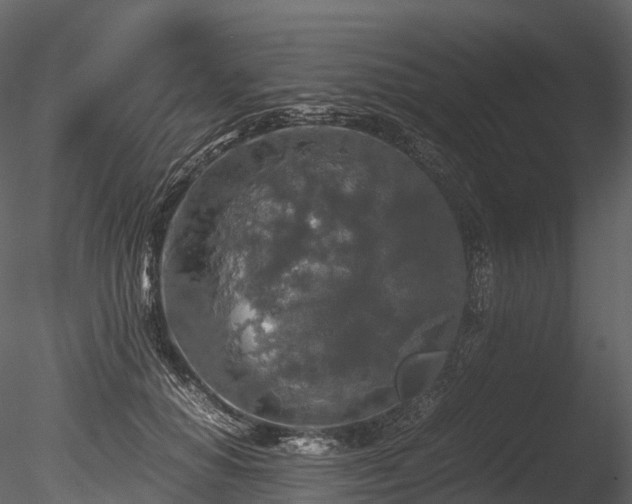 X0000085250654200703161253