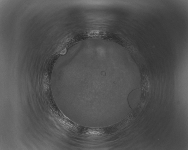 X0000085250659200703161253