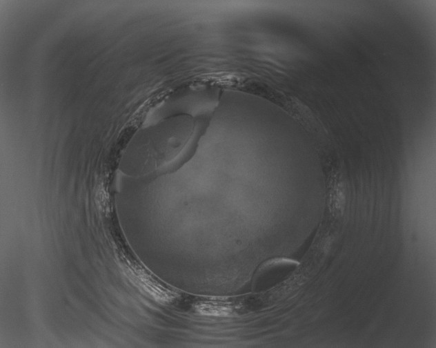 X0000085250661200703161253