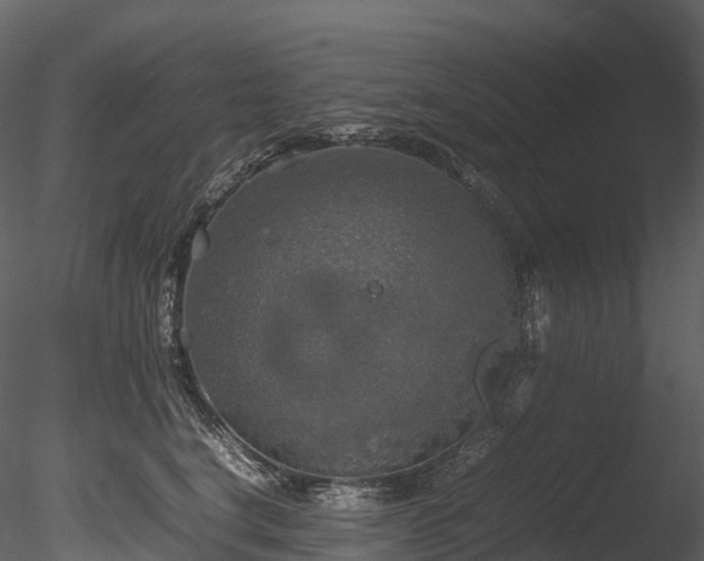 X0000085250664200703161254