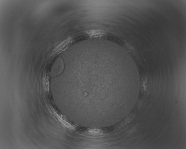 X0000085250666200703161254