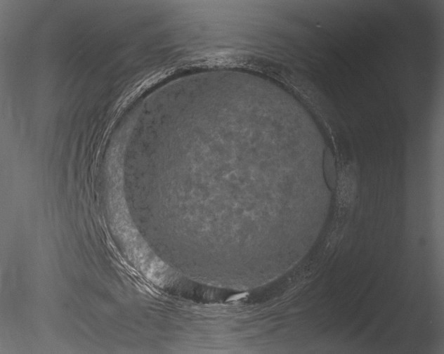 X0000085250673200703161253