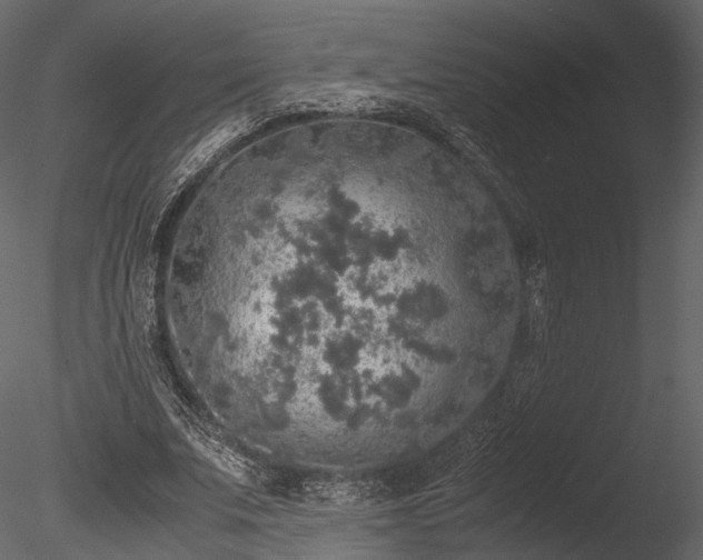 X0000085250679200703161253