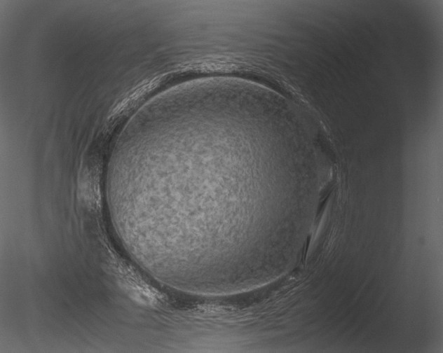 X0000085250681200703161253