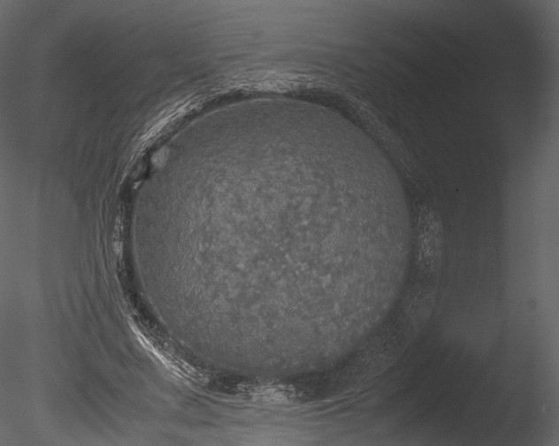 X0000085250683200703161253