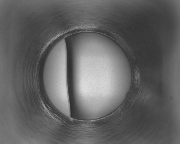 X0000085250684200703161253