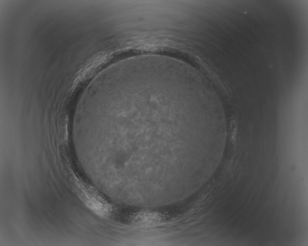 X0000085250685200703161253