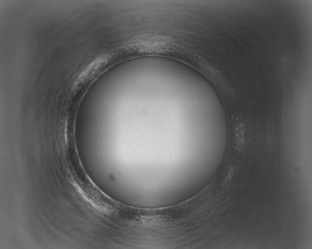 X0000085250686200703161253