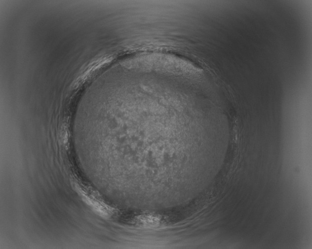 X0000085250687200703161253