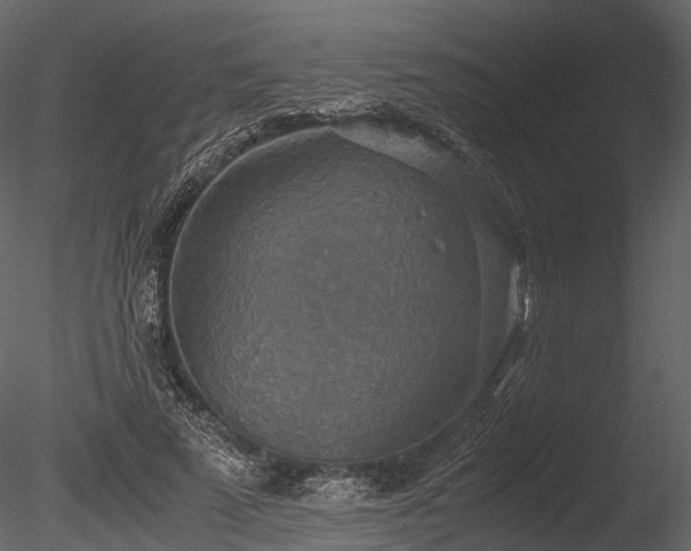 X0000085250689200703161253