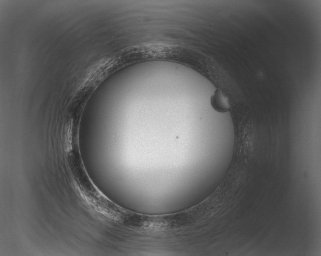 X0000085250694200703161252