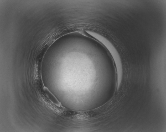 X0000085250696200703161252