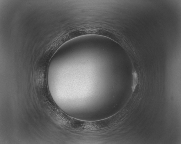 X0000085250697200703161252