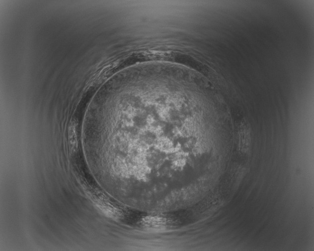 X0000085250699200703161252