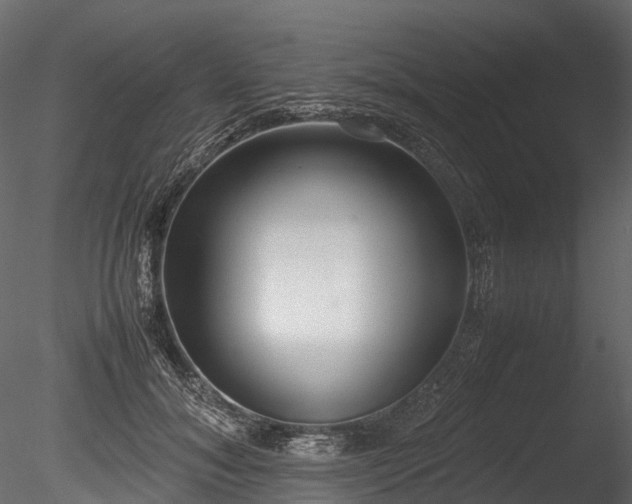 X0000085250700200703161252