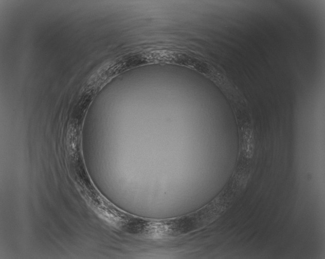 X0000085250701200703161252